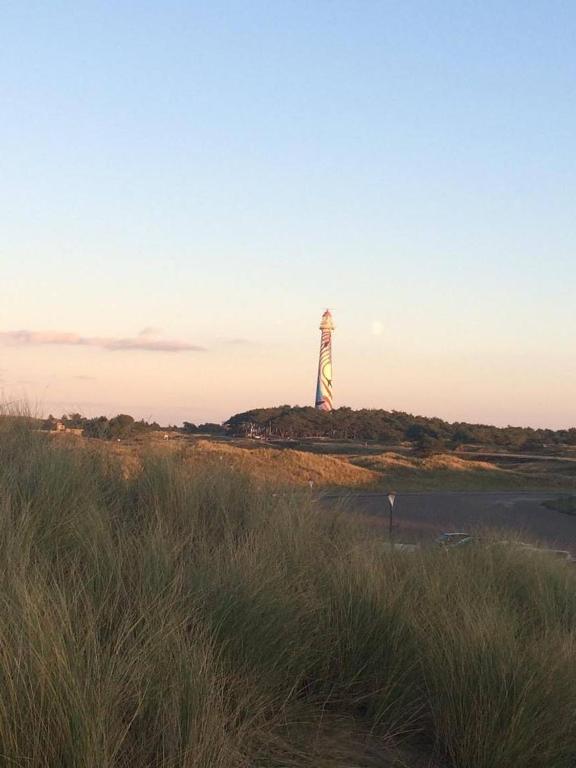 霍勒姆Amelander Kaap 35的一座灯塔,位于一片草覆盖的海滩上