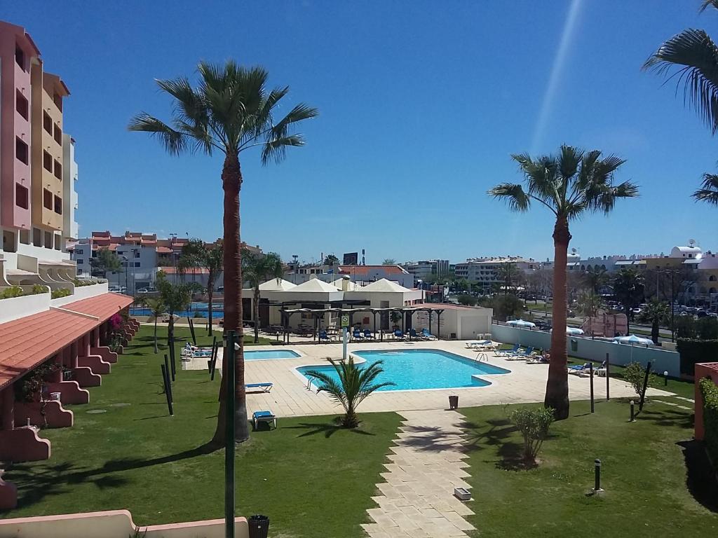 - une vue sur la piscine bordée de palmiers dans l'établissement Albufeira INN - Casa da Luz - Bellavista T0, à Albufeira