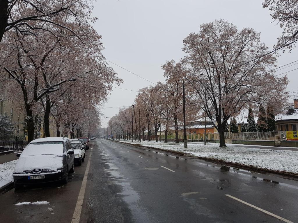 キシュクンハラシュにあるLia Apartmanの雪に覆われた道路