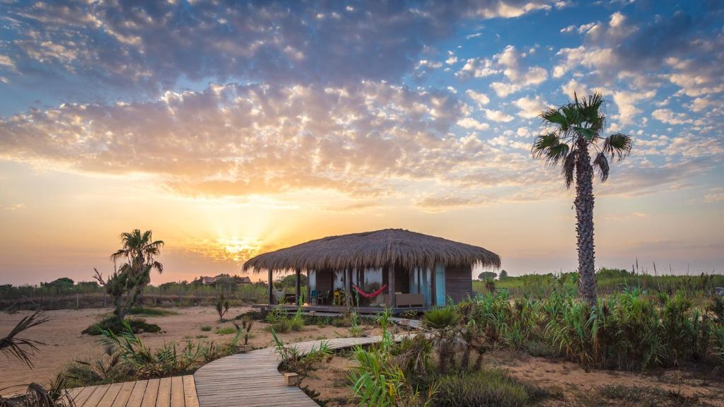 a hut on the beach with a palm tree and the sunset at Windresort in Granitola