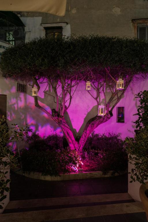 Magri's Hotel - Resim 43