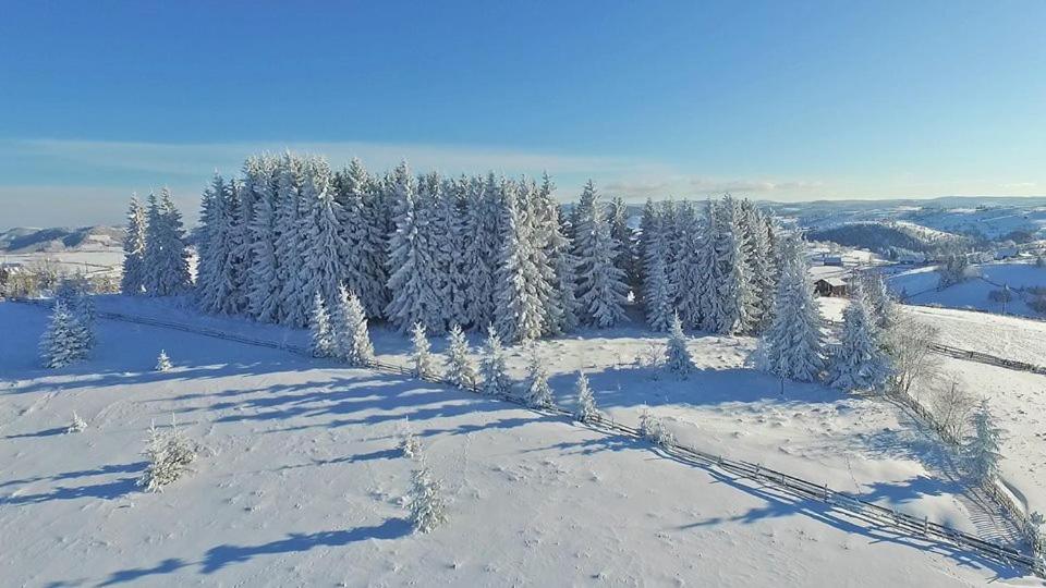 Pensiunea Popasul Iancului v zimě