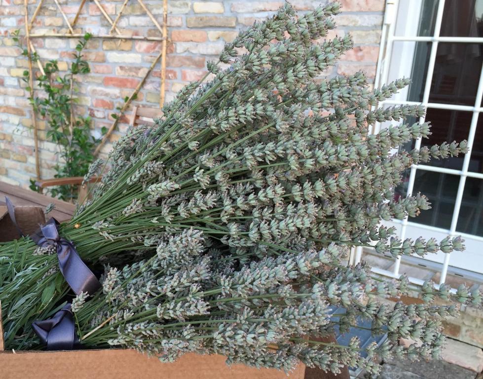 Ogród w obiekcie Il Giardino nella Valle