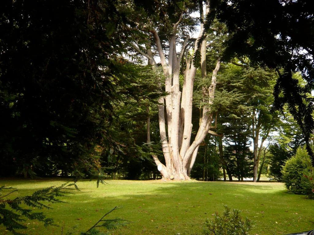 Zahrada ubytování Manoir de la Voute maison d'hôtes