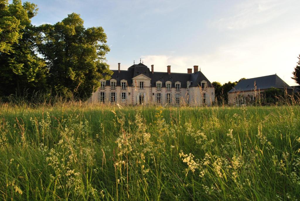 Ein altes Haus auf einem Grasfeld in der Unterkunft Chateau La Touanne Loire valley in Baccon