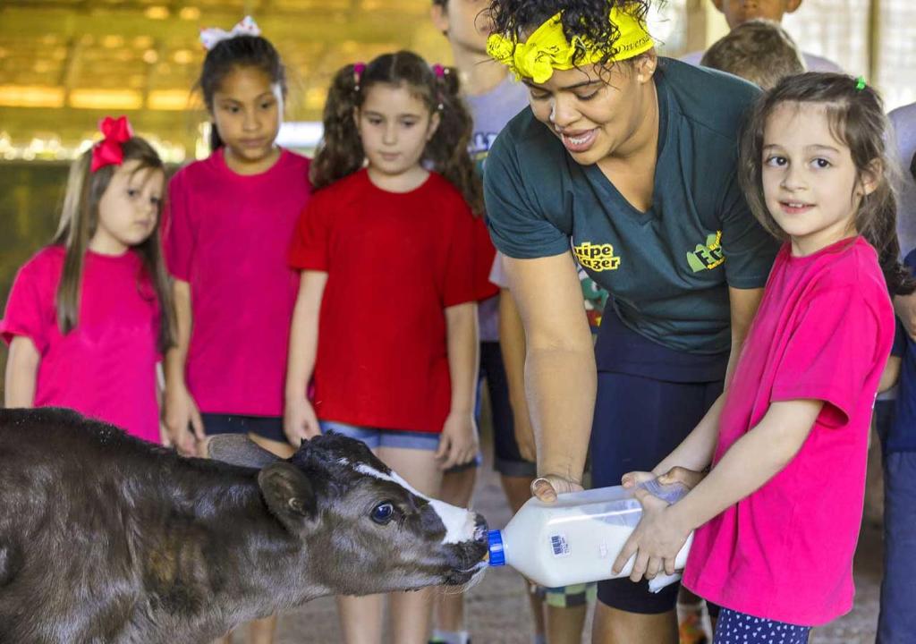  Brotas Eco Hotel Fazenda