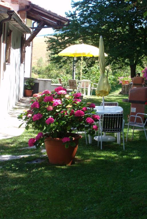 Agriturismo La Guinza - Pool & Relax - 全景公寓