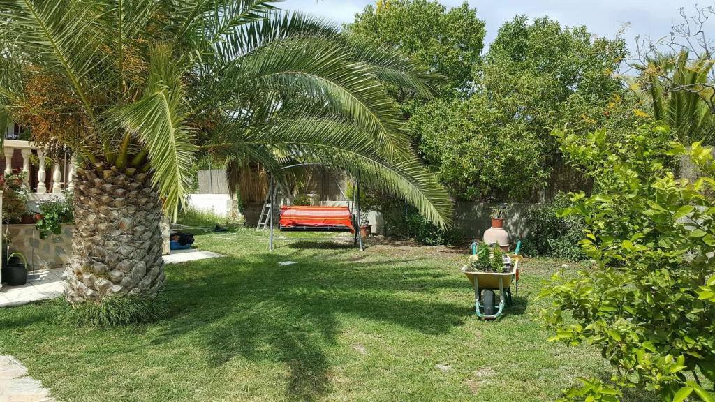 A garden outside Casa de los amigos