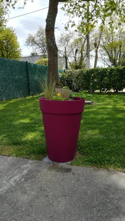 Jardin de l&#39;&eacute;tablissement La maison des bois flott&eacute;s