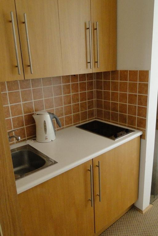 Kuchyň nebo kuchyňský kout v ubytování Apartman Brno Stred
