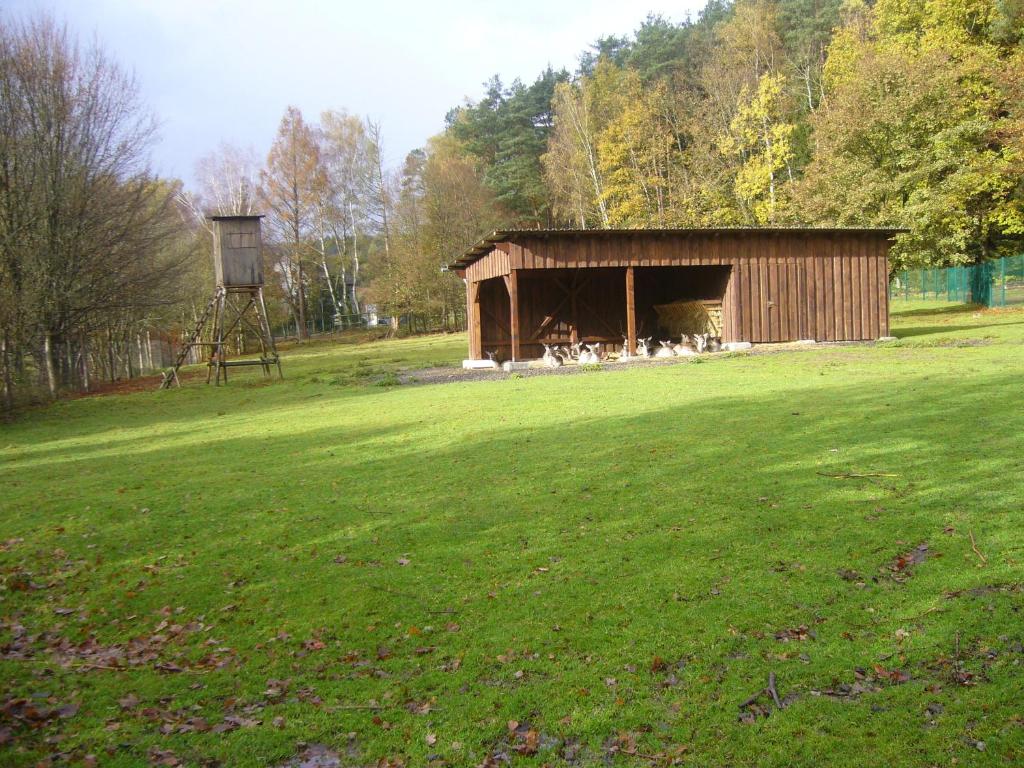 Zahrada ubytování Hotel Am Wildpark