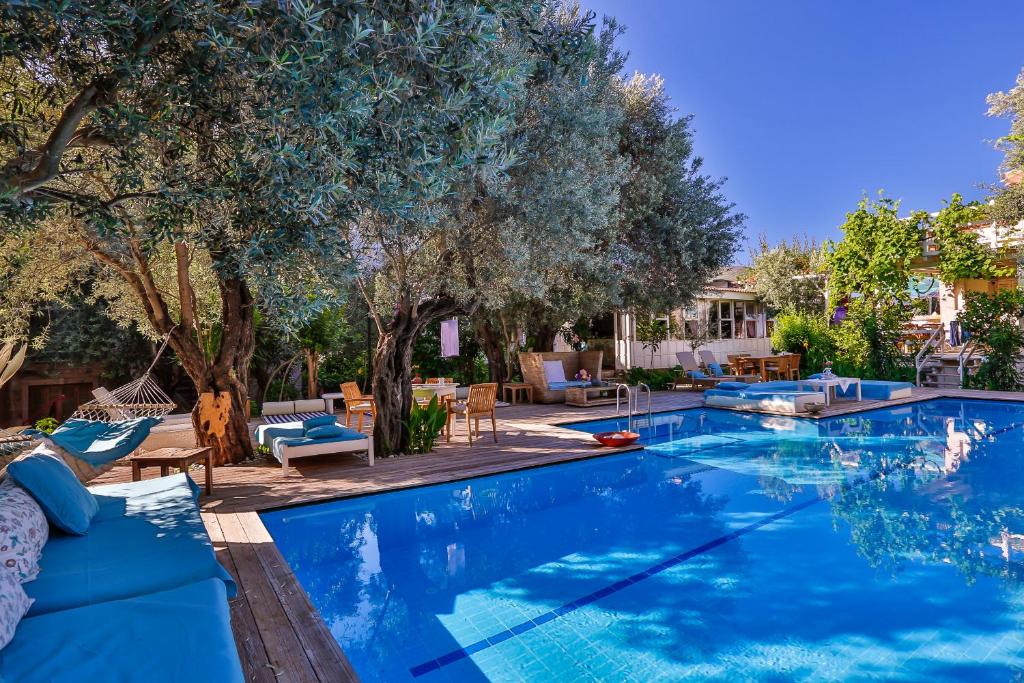 a swimming pool with chairs and trees in a yard at Oyster Residences - Adult Only in Oludeniz