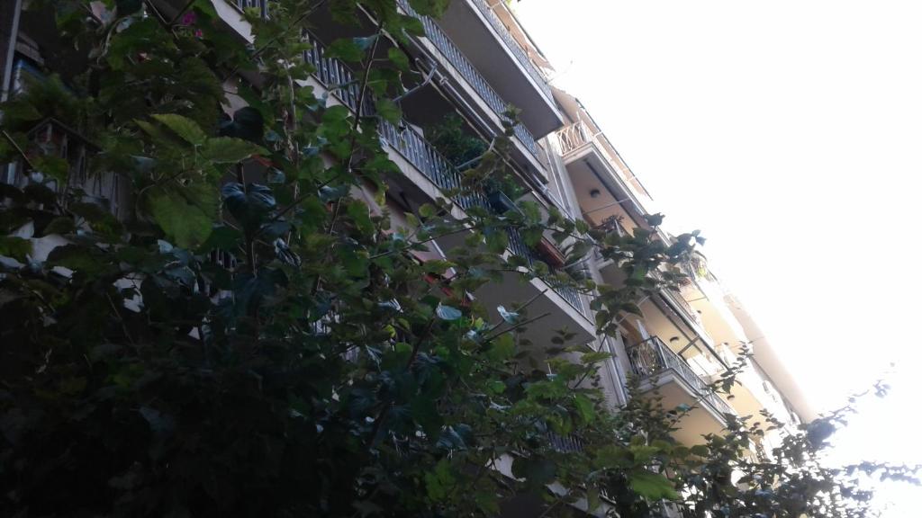 Fotografia z galérie ubytovania Areos Apartment v Aténach