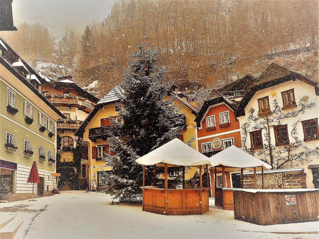 Haus Bellevue v zimě