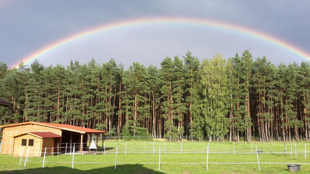 Fotografie z fotogalerie ubytování Agroturystyka Polana Harmonii v destinaci Przytoczna 
