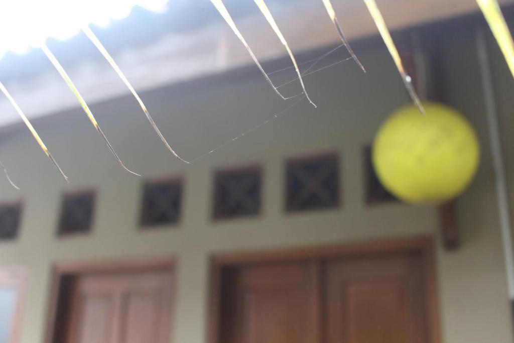a green ball hanging in front of a house at Rumah Pathuk Syariah Homestay in Yogyakarta