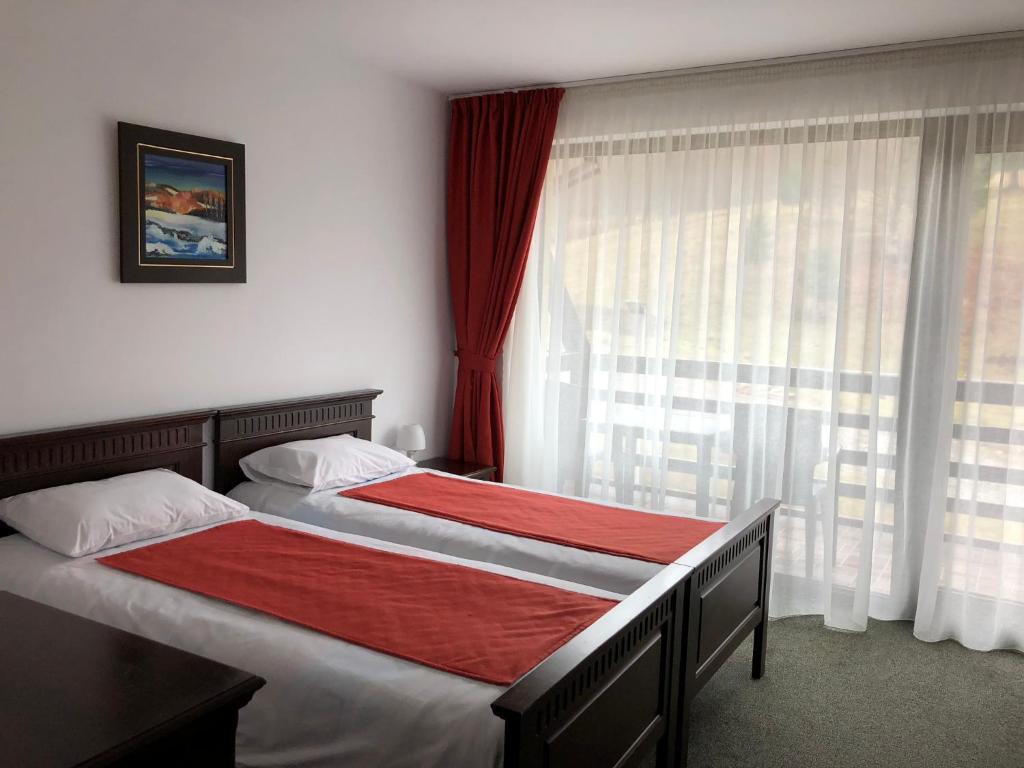 a hotel room with two beds and a window at Pensiunea Ovidiu&Paula in Ibăneşti