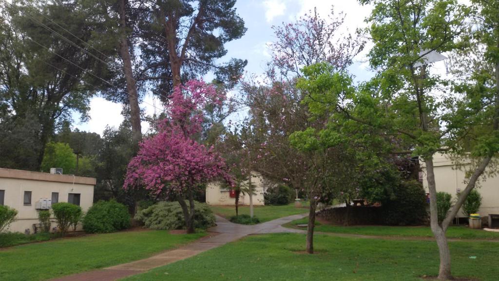 Zahrada ubytování כפר הנופש קיבוץ גדות Kibbutz Gadot Galilean Resort