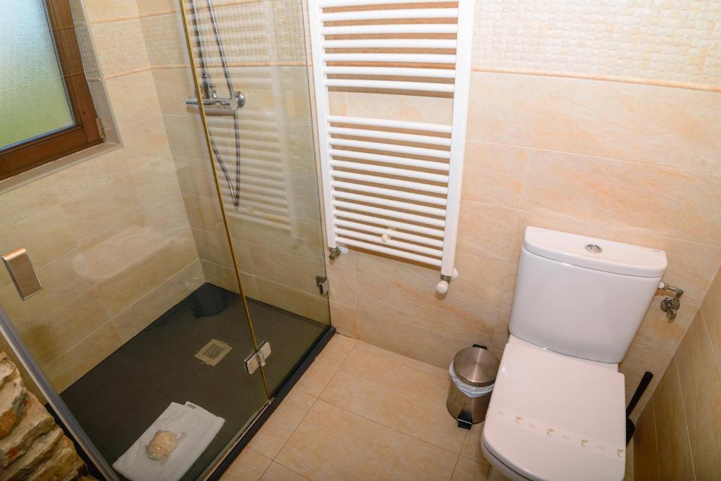 a bathroom with a toilet and a glass shower at Casona de Llanorrozo Apartamentos Rurales in Oviñana