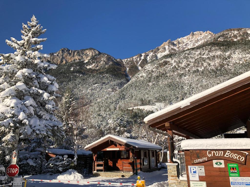 Gran Bosco Camping & Lodge في Salbertrand: شجرة مغطاة بالثلج أمام نزل التزلج