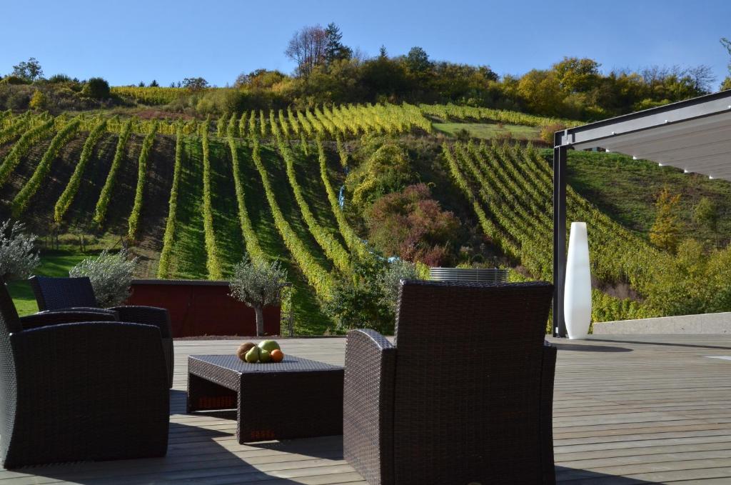 a patio with tables and chairs and a vineyard at Hotel de l'Ecluse Superior in Stadtbredimus