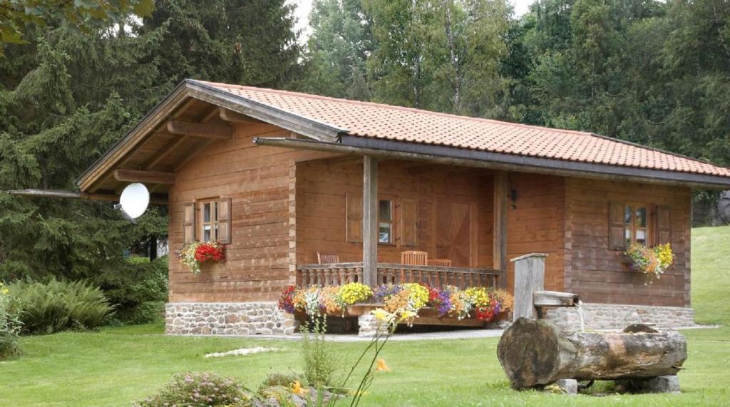 a small wooden cabin with a large at Ferienhaus Bärenhöhle in Spiegelau