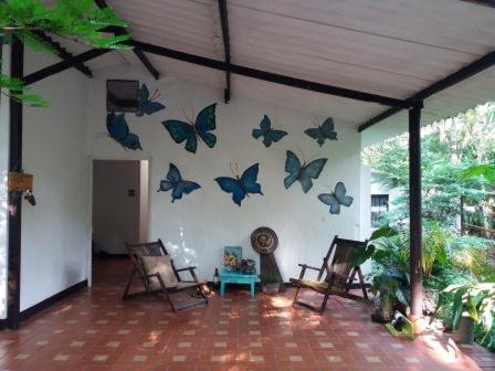 um quarto com borboletas penduradas na parede em TierraViva em Tobia