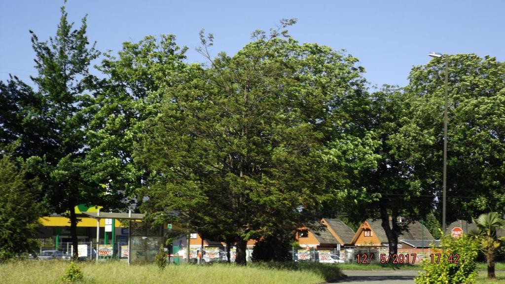 Fotografie z fotogalerie ubytování Bosque Valdiviano Apartment v destinaci Valdivia