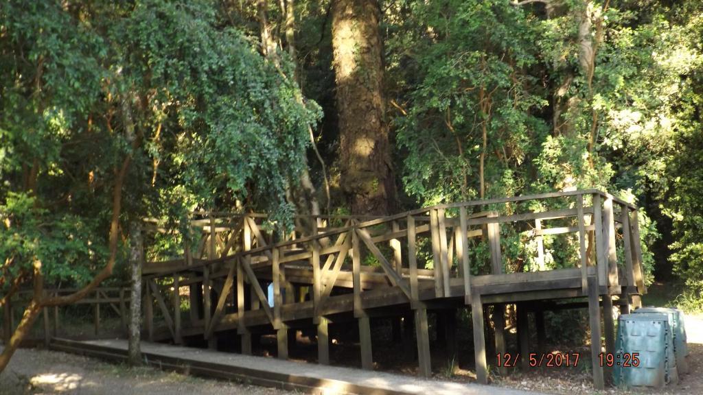 Fotografie z fotogalerie ubytování Bosque Valdiviano Apartment v destinaci Valdivia