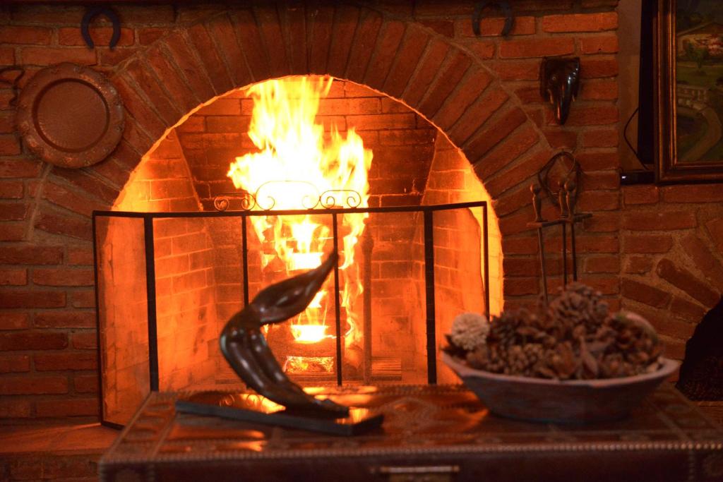 um forno de tijolos com um fogo a arder em Hotel Pousada Esmeralda em Itatiaia