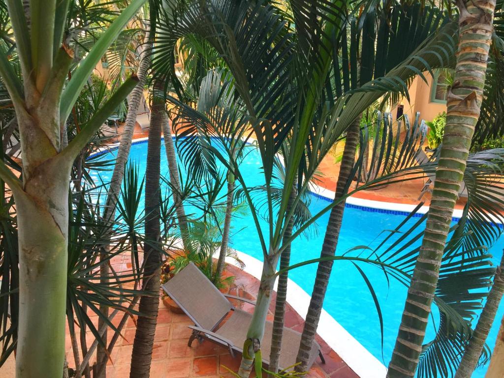 een zwembad met een stoel tussen palmbomen bij Wacamaya in Palm-Eagle Beach