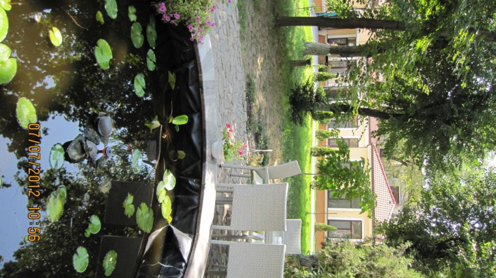 Zahrada ubytování Admiral Hotel
