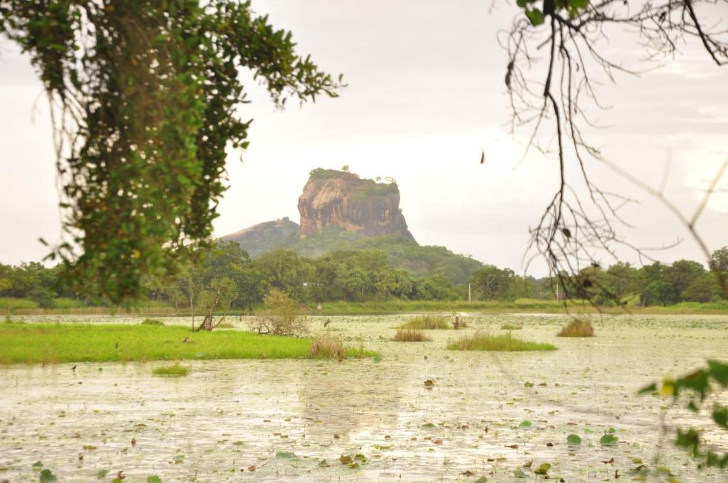 Rock Lake Home Stay - 11