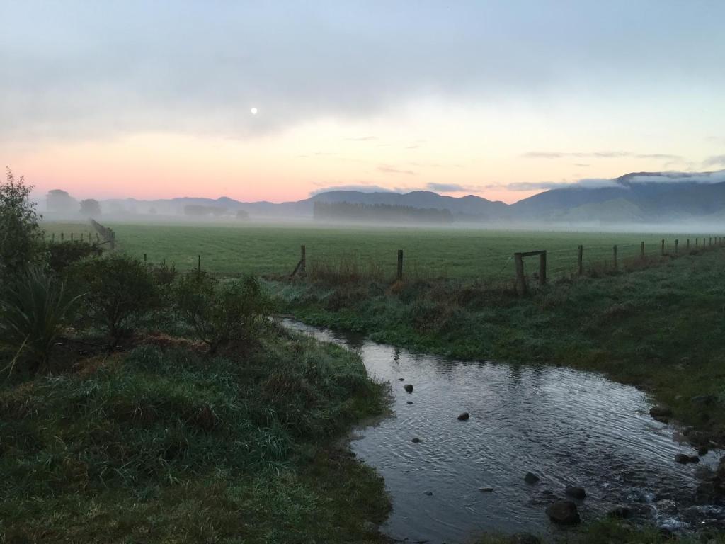 Ivy's Cottage - Resim 20