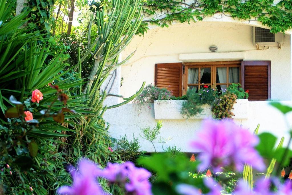A garden outside Emerald