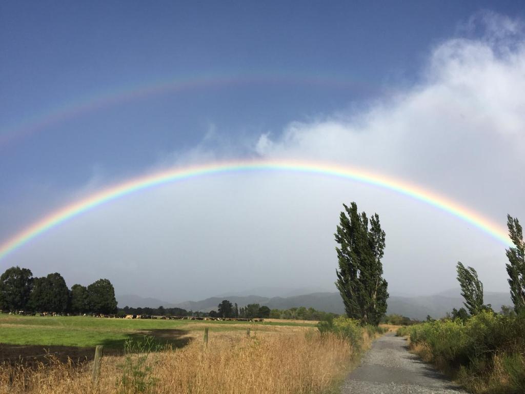 Ivy's Cottage - Resim 23