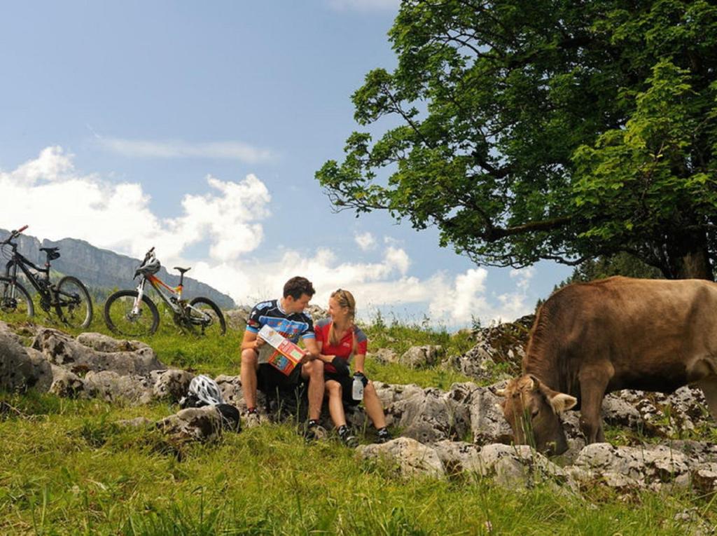 a man and woman sitting on rocks next to a cow at DEVA Hotel Kaiserblick in Reit im Winkl