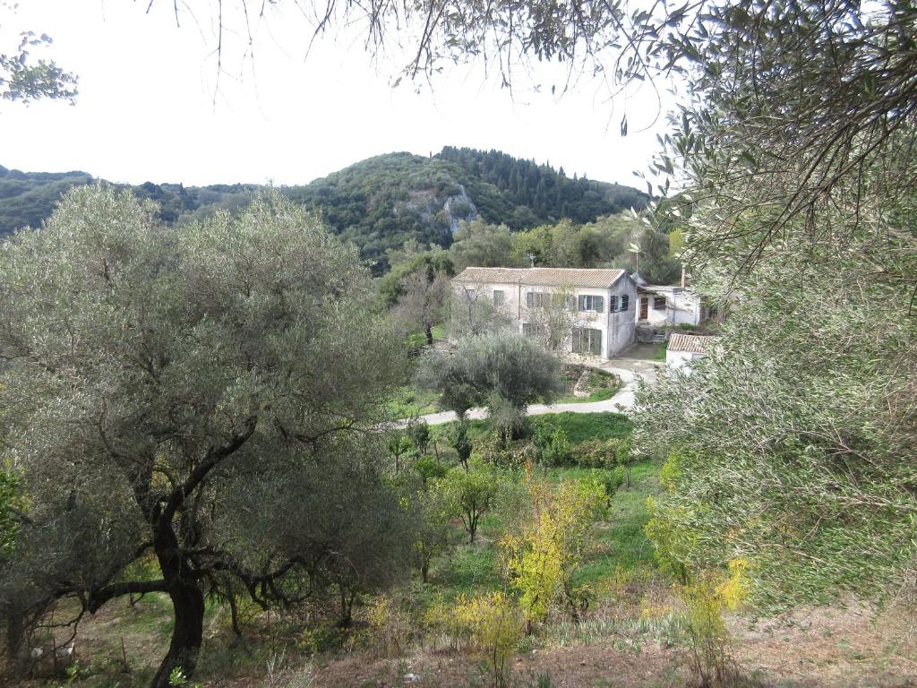 una casa en medio de un campo con árboles en George's house en Giannádes