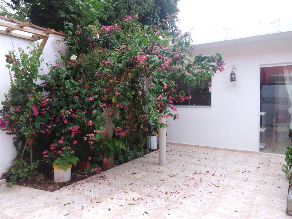  Caraguatatuba