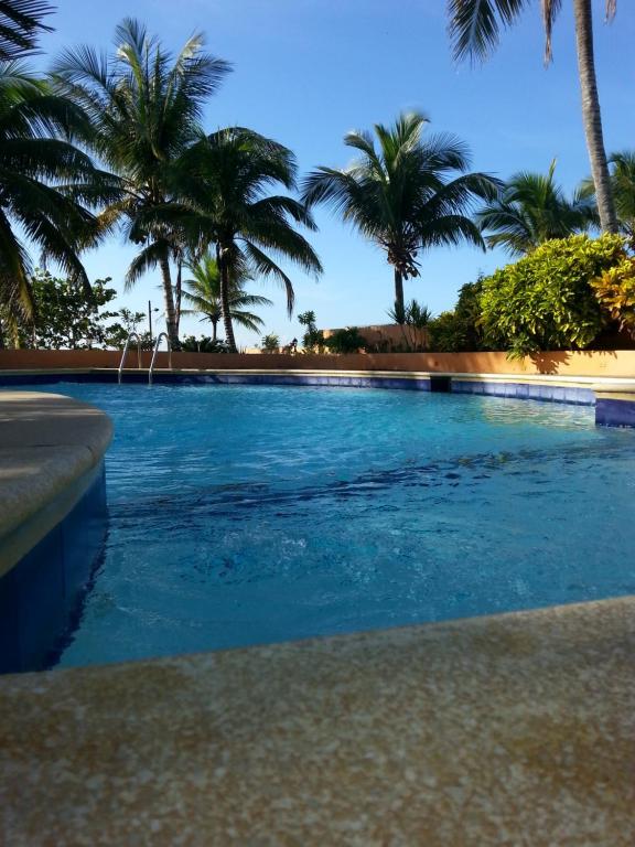 a swimming pool with palm trees in the background at La Cueva del Che in Juan Dolio