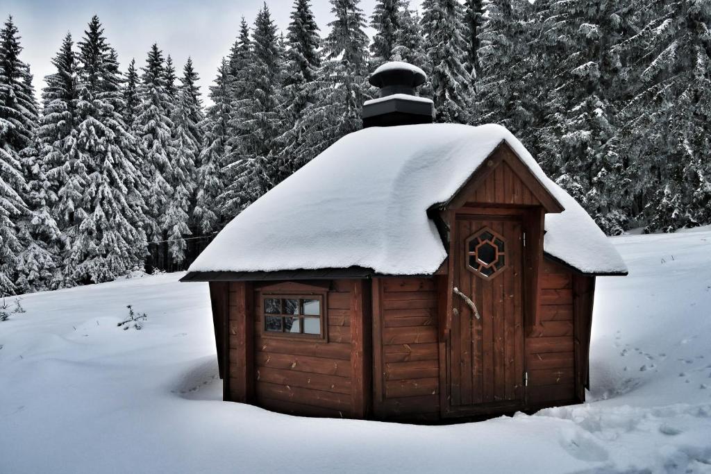 Cihlářka - horský apartmán 103 v zimě