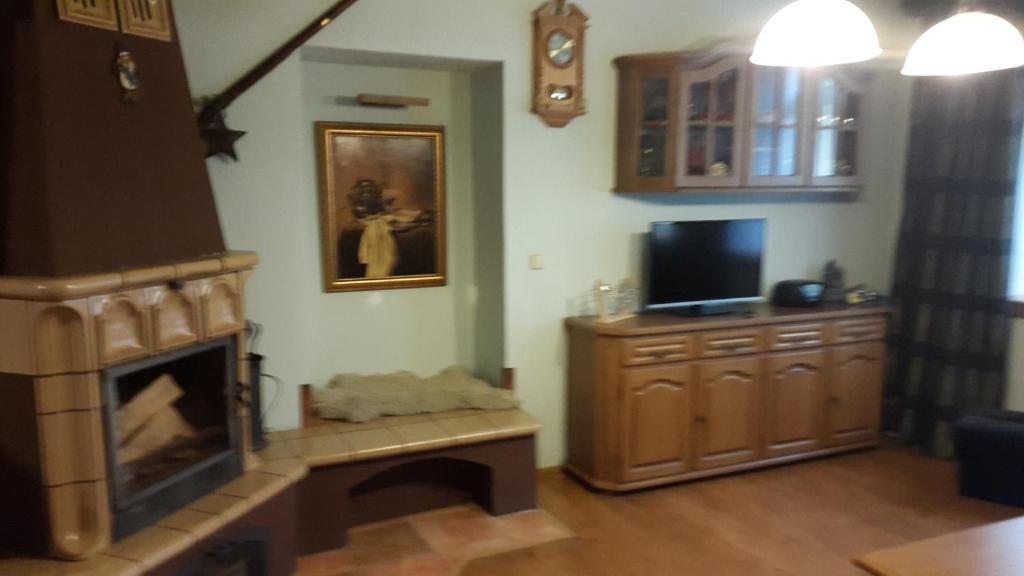 TV a/nebo společenská místnost v ubytování Apartmány Liška