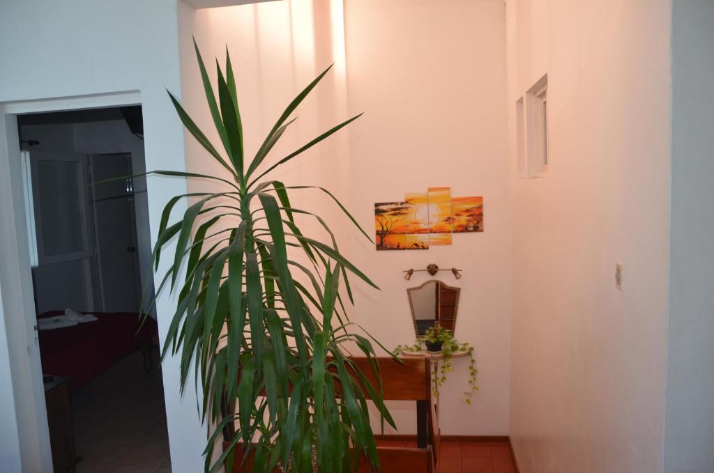 Photo de la galerie de l'établissement Hotel Romi, à Colonia del Sacramento