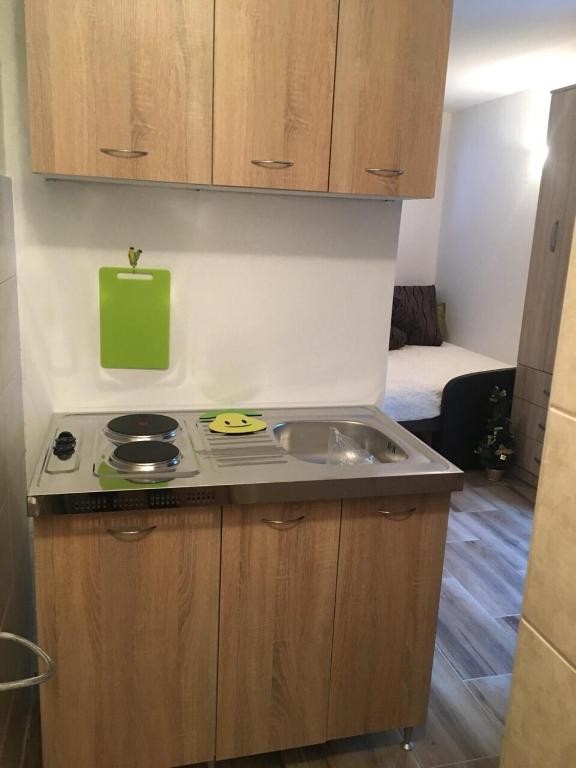 Kuchyň nebo kuchyňský kout v ubytování Apartments Popovic