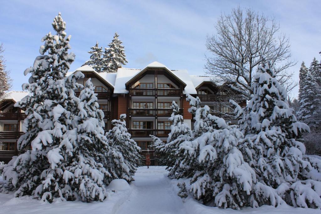 een huis met sneeuw bedekte bomen ervoor bij Hapimag Ferienwohnungen Braunlage in Braunlage