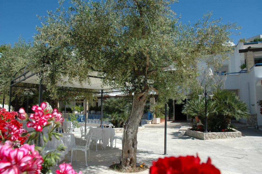 Zahrada ubytování Hotel Selenia Residence