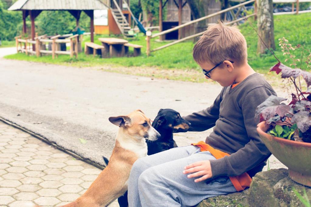 Domácí mazlíčci ubytovaní s hosty v ubytování Farm Stay Loger