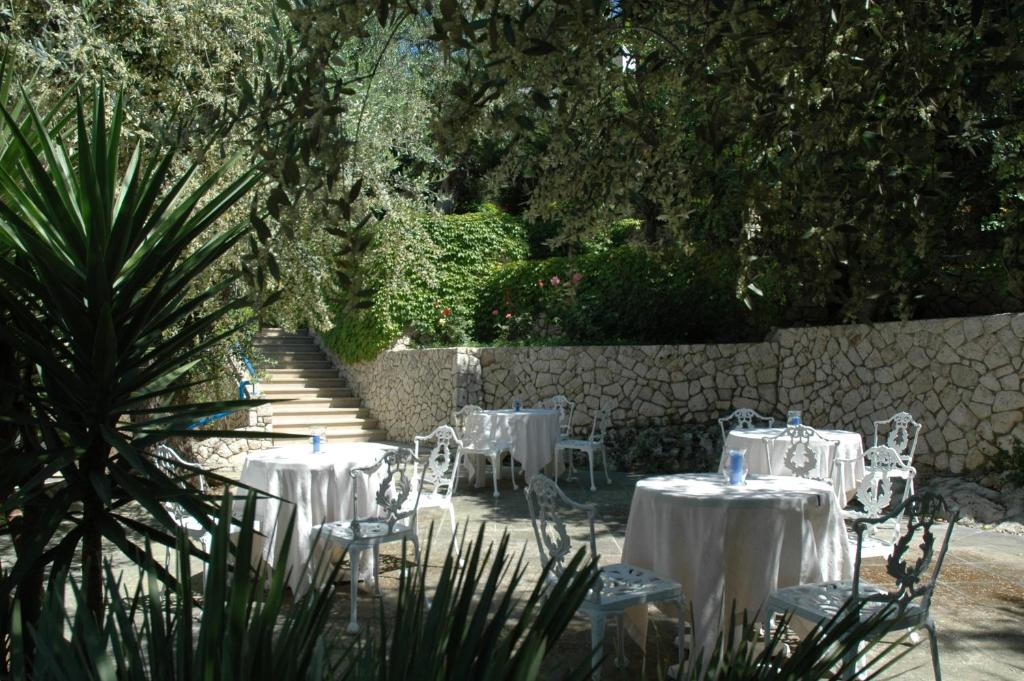 Zahrada ubytování Hotel Selenia Residence