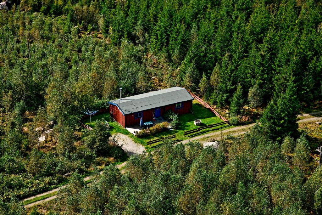 Timjan Forest Resort - 