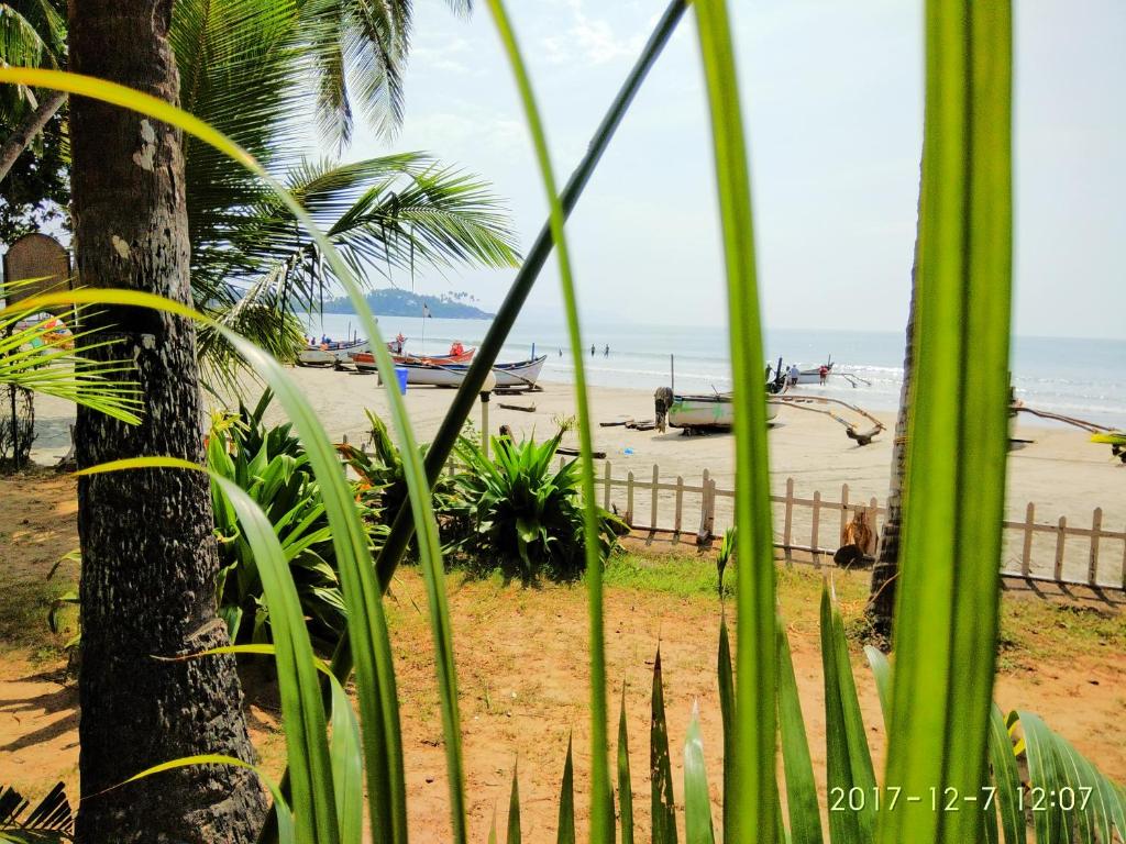 a beach with a palm tree and the ocean at Alegro Beach Homes in Palolem